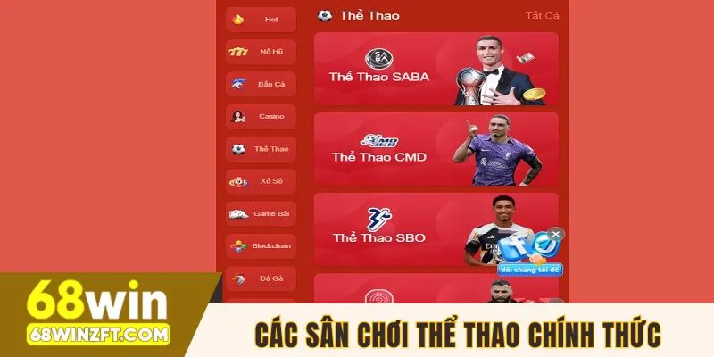 Các sân chơi thể thao chính thức