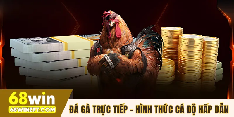 Đá gà trực tiếp