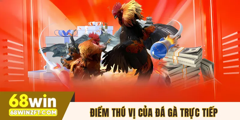 Điểm thú vị làm nên sức hút của đá gà trực tiếp