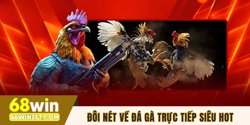 Đôi nét về bộ môn đá gà trực tiếp siêu hot
